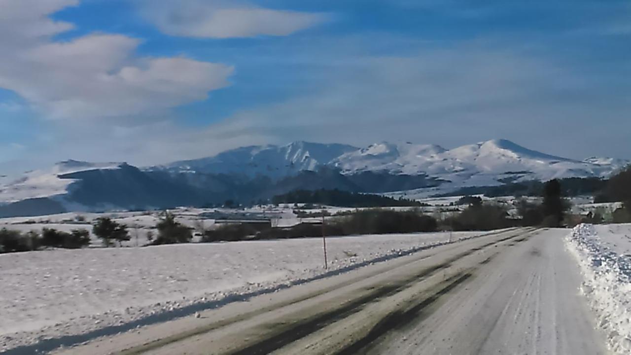 Tulipe, Appartement 5 Personnes, Entre Sancy Et Volcans D'Auvergne Орсивал Екстериор снимка