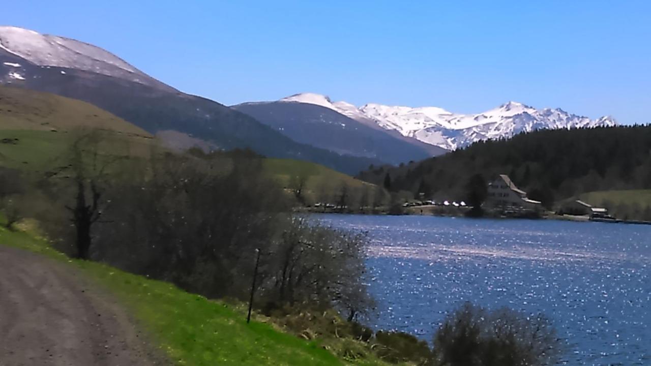 Tulipe, Appartement 5 Personnes, Entre Sancy Et Volcans D'Auvergne Орсивал Екстериор снимка