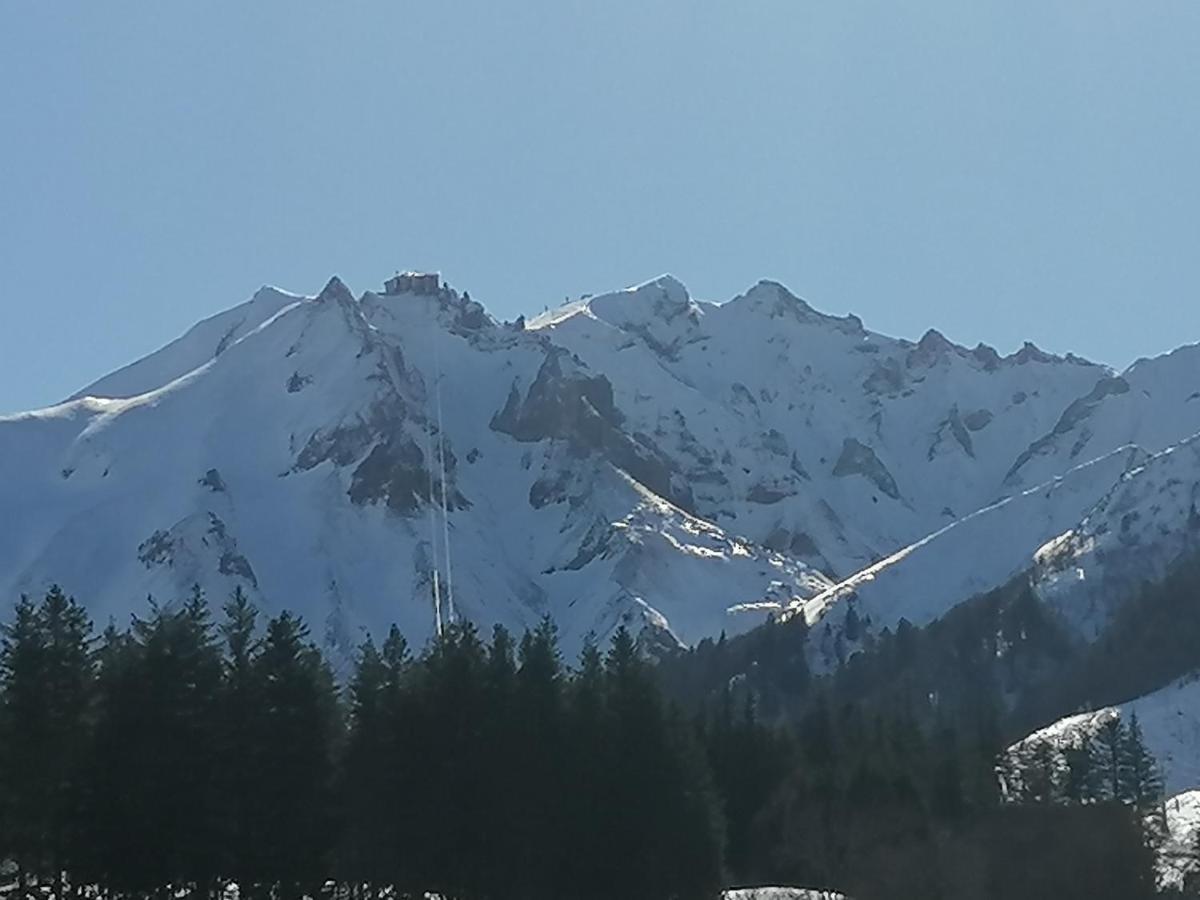 Tulipe, Appartement 5 Personnes, Entre Sancy Et Volcans D'Auvergne Орсивал Екстериор снимка