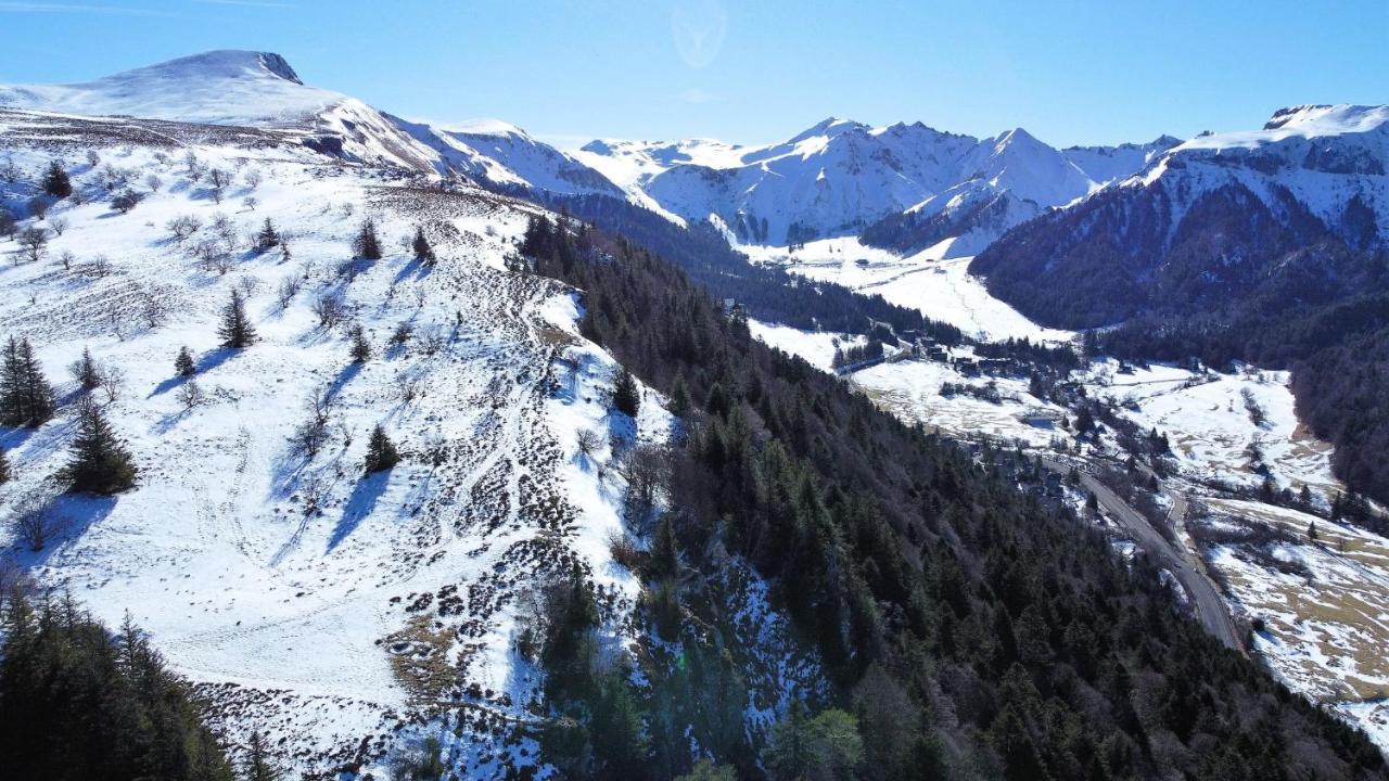 Tulipe, Appartement 5 Personnes, Entre Sancy Et Volcans D'Auvergne Орсивал Екстериор снимка