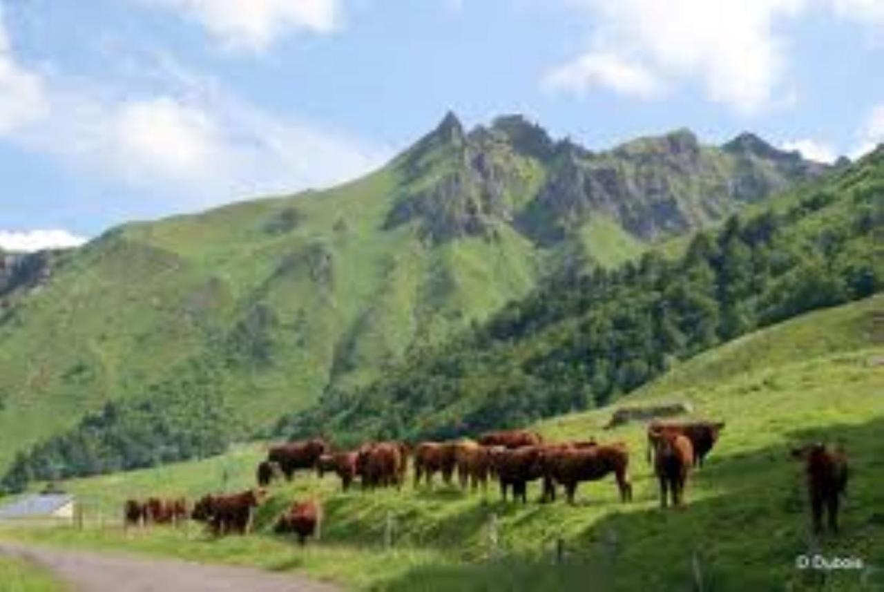 Tulipe, Appartement 5 Personnes, Entre Sancy Et Volcans D'Auvergne Орсивал Екстериор снимка