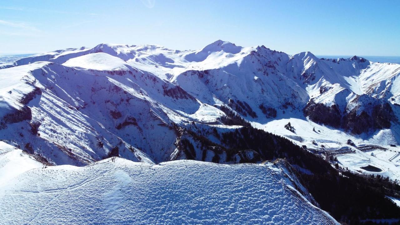 Tulipe, Appartement 5 Personnes, Entre Sancy Et Volcans D'Auvergne Орсивал Екстериор снимка
