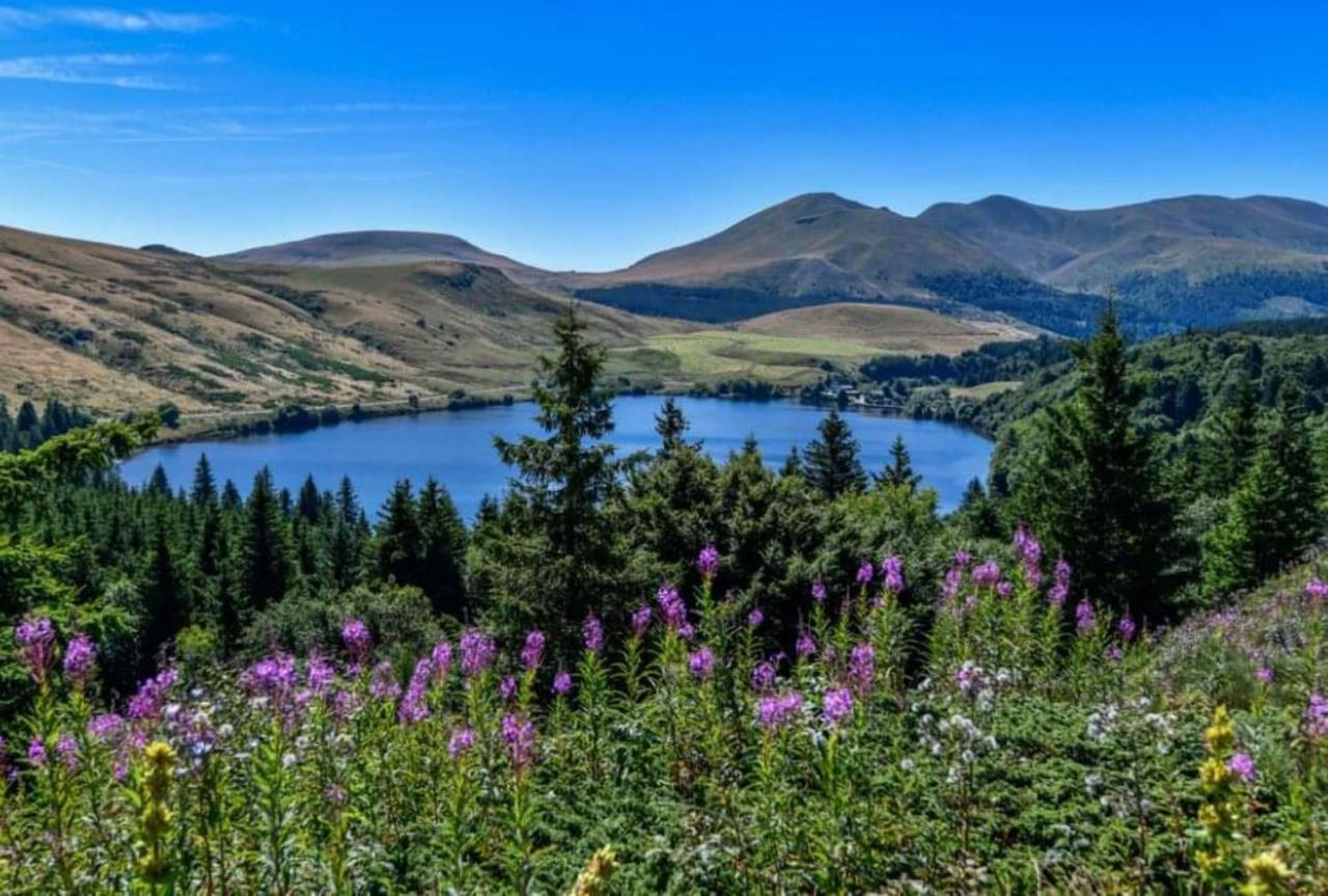 Tulipe, Appartement 5 Personnes, Entre Sancy Et Volcans D'Auvergne Орсивал Екстериор снимка
